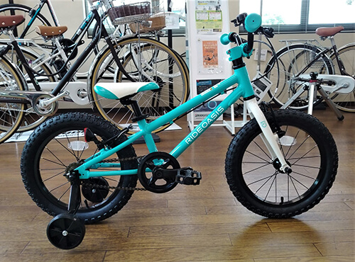 RIDEOASIS ヨツバサイクル 18インチ キッズ水色 RIDEOASIS ヨツバ