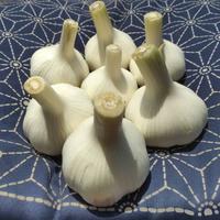 にんにく農家がこだわって作ったこんぴら熟成黒にんにく | 野菜