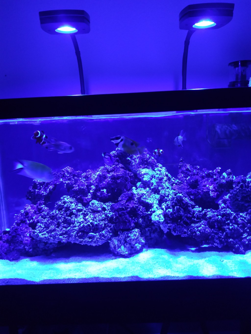 AI Prime 16HD Reef Aquarium LED, Black - AquaIllumination