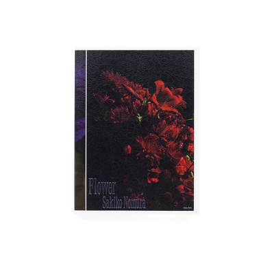 あめふり 村越としや 写真集 Amazon.co.jp: あめふり : 村越 としや: 本