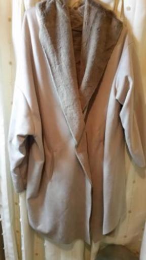 ブラジル産ホープヒサシサイカブト 43mm