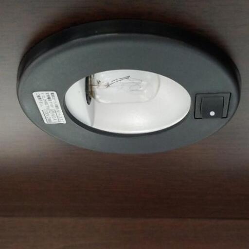 セール （2/8店）【値下げしました！】ファニテリアマキ キュリオ