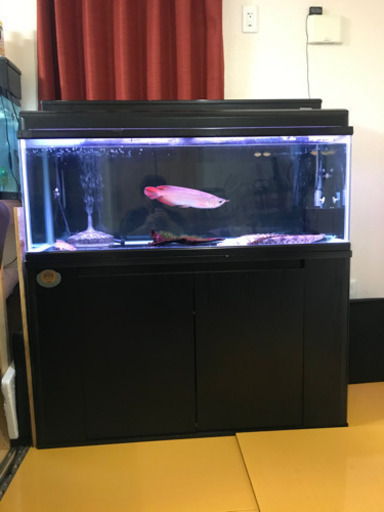 120㎝水槽上部フィルターセット