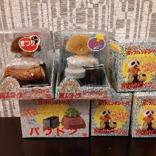 原人コッツシリーズ コッツンタイム 訳あり 2026年最新】原人コッツの