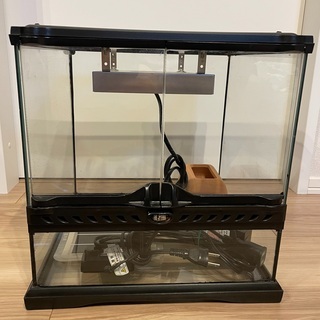 グラステラリウム3030 パネルヒーターなど すぐに飼育し始められます