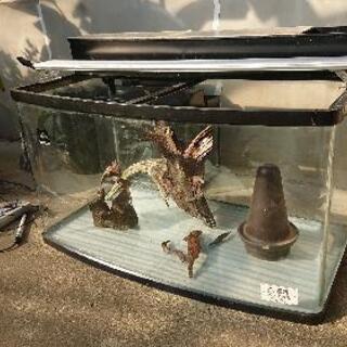 コトブキ水槽パラドーム900