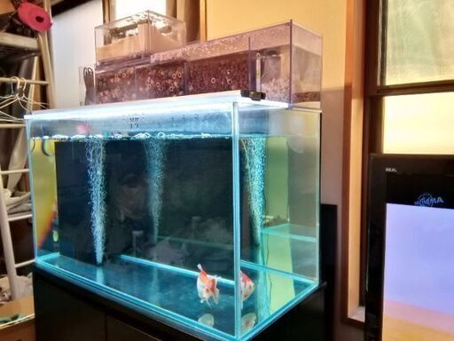 超強力濾過上部フィルター付き！90cmガラス水槽セット！