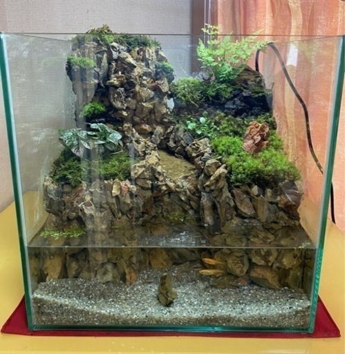 滝の流れるアクアテラリウム No.1099 滝の流れるアクアテラリウム No.1099