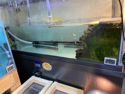 1200ガラス水槽セット値下げ価格‼️