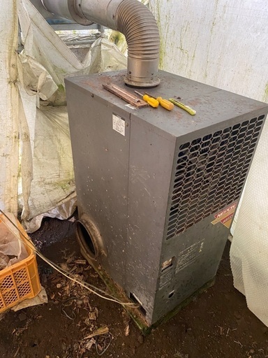 真正品 加賀藩三越通 百能用 古銭 絵銭 松虎図 コレクター品 縁起物