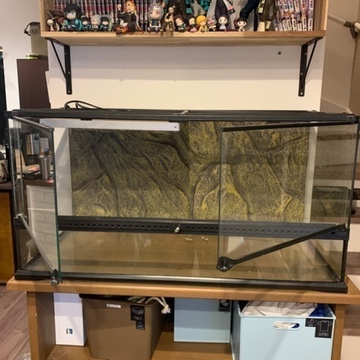 ③ 引取限定 エキゾテラ グラステラリウム9045