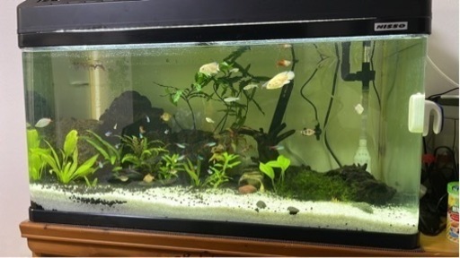 90ニッソー曲げ水槽 他