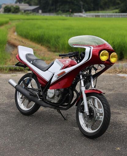 デュアルカウル ジョーカーズ製】デュアルロケットカウル ジョーカーズ