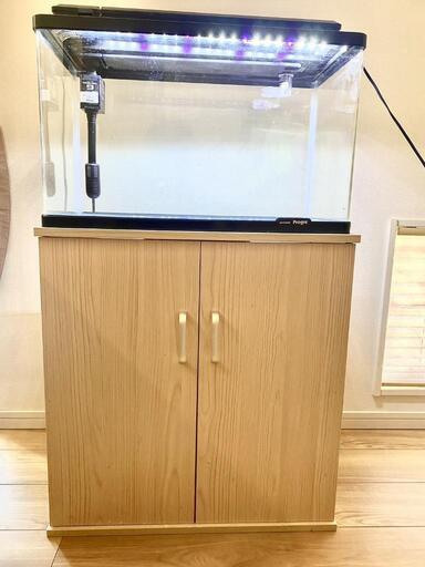 早い者勝ち】引き取り限定！！大型ガラス水槽 600 × 1200 × 750