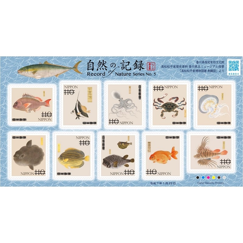 国連切手 良い環境のために 自然 生物 美しい田型切手3種未使用 国連