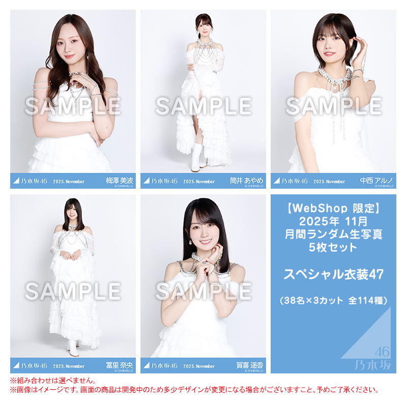 乃木坂46 OFFICIAL WEB SHOP | 乃木坂46 グッズ通販サイト