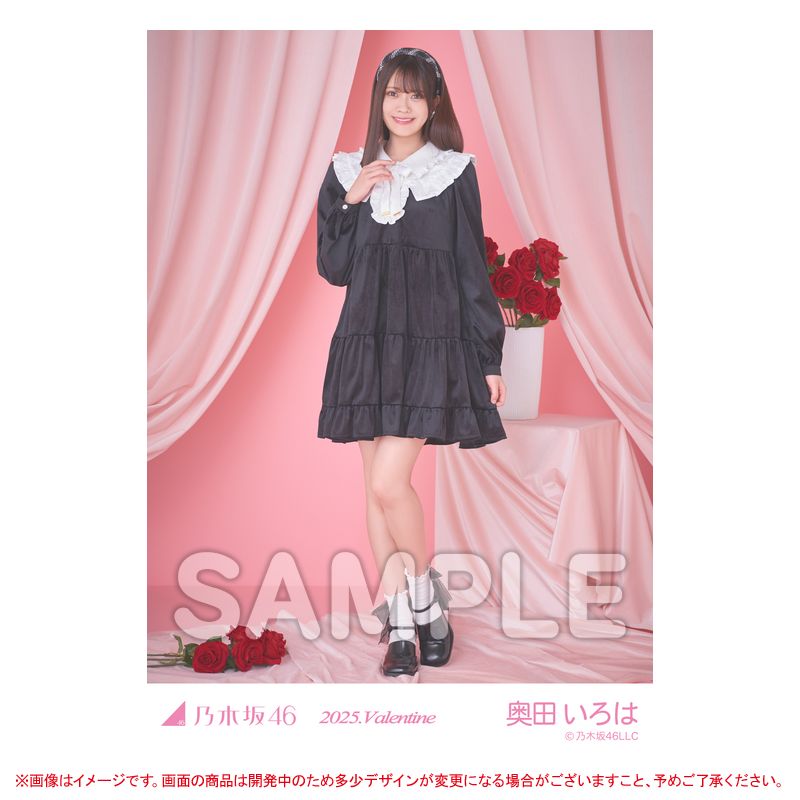 乃木坂46 OFFICIAL WEB SHOP | 乃木坂46 グッズ通販サイト