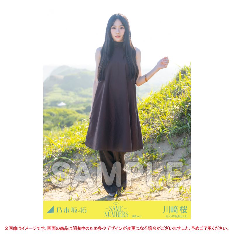 乃木坂46 OFFICIAL WEB SHOP | 乃木坂46 グッズ通販サイト