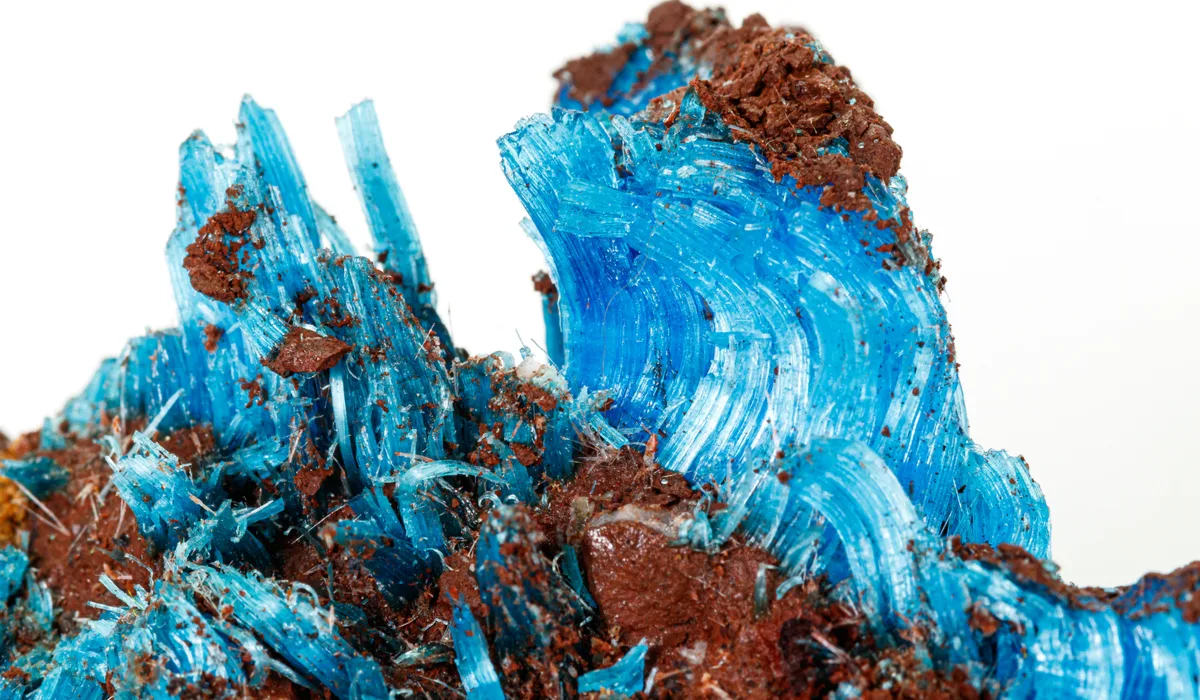 青い銅の花といわれる カルカンサイト | カラッツ Gem Magazine