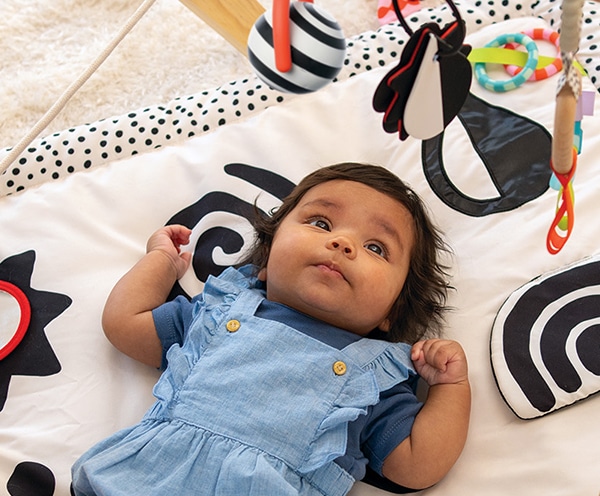 Wimmer センサリートイ・ザグルス: バリエーション表示 ボーネルンド