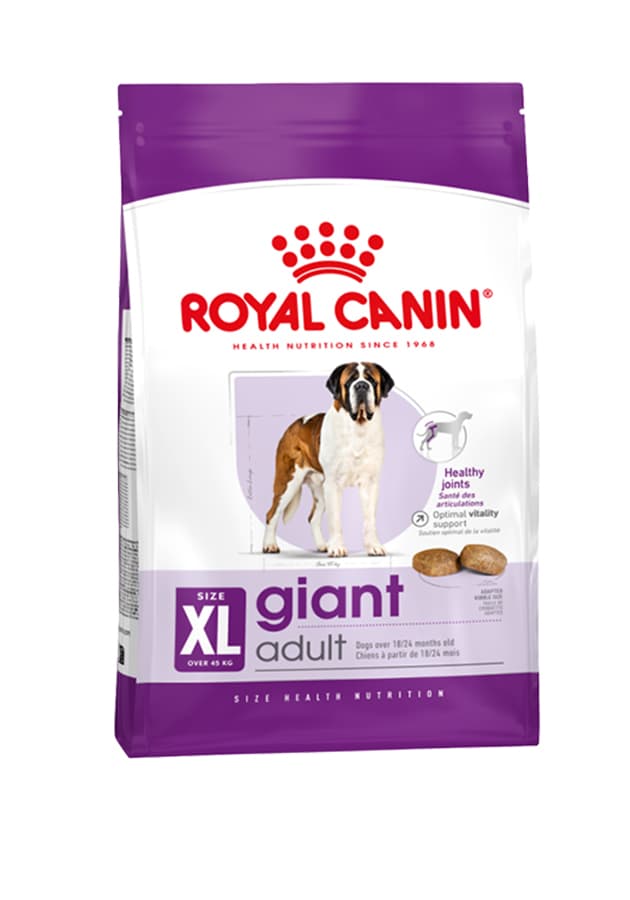 CANIN マキシアダルト大型犬用 大粒16キロドライフード ロイヤルカナン