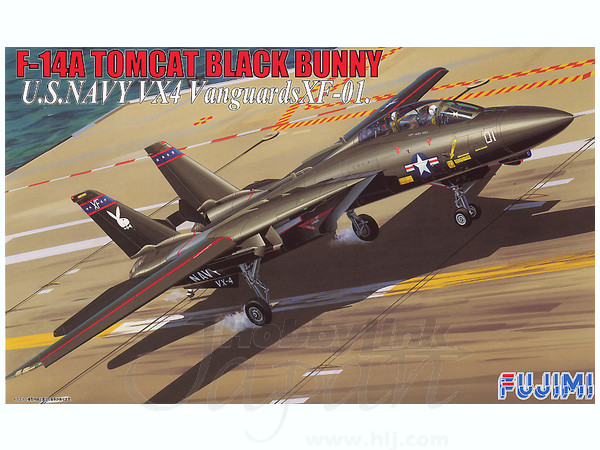 1/48 F-14A トムキャット ブラックバニー | HLJ.co.jp