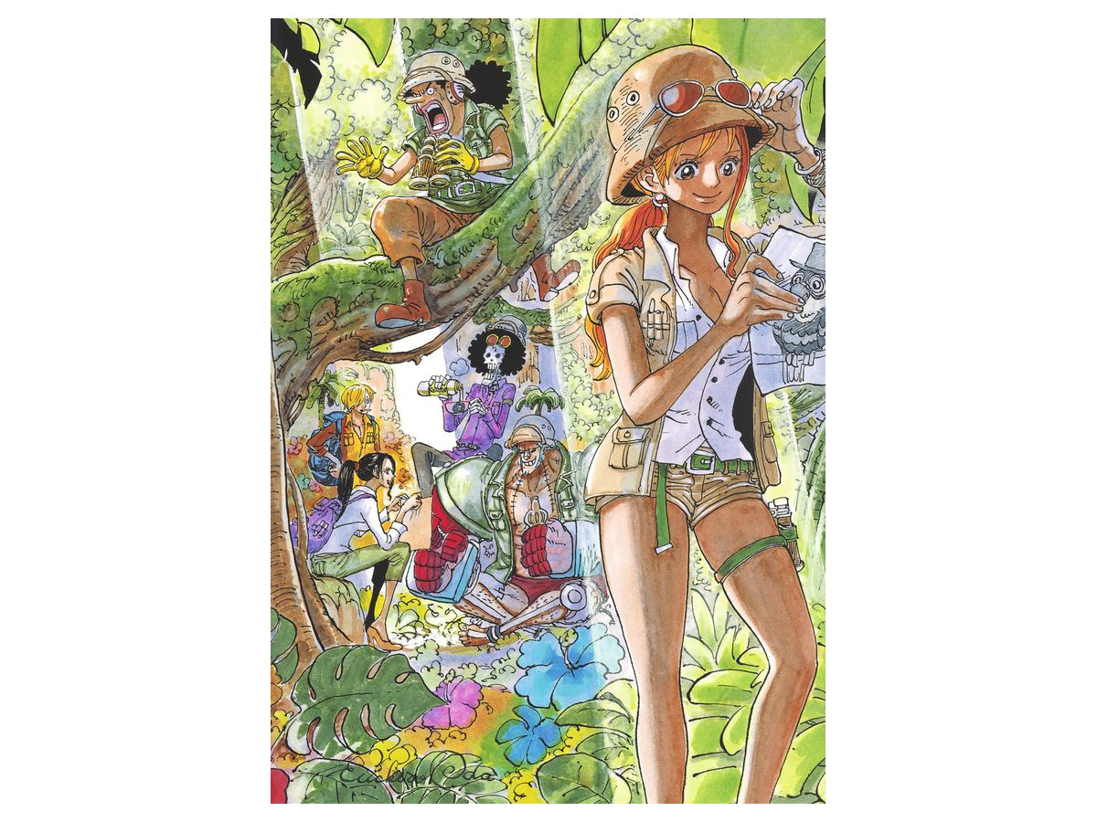 One piece : Color walk : 尾田栄一郎画集 1~8 ONE PIECE 尾田栄一郎