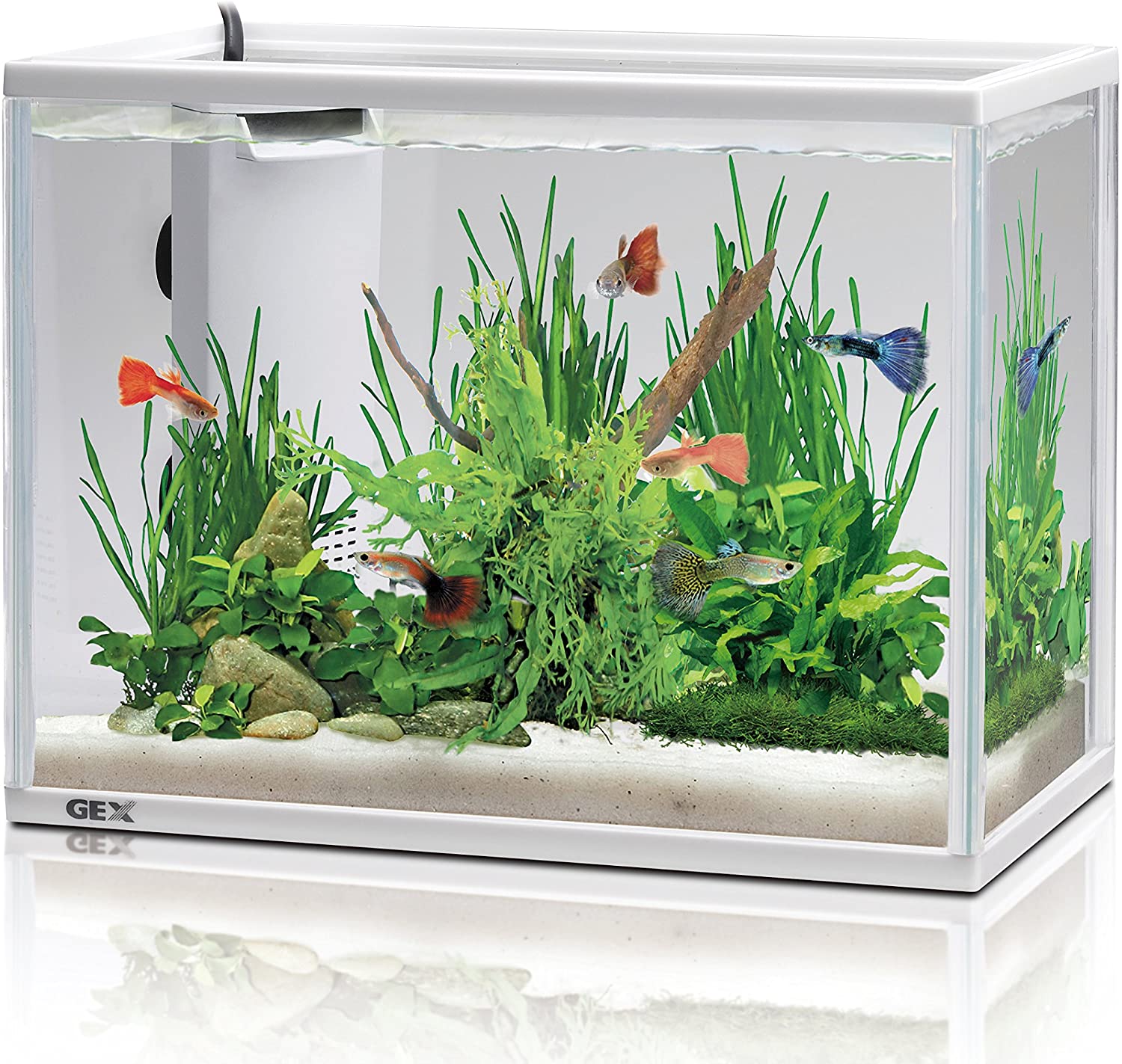 600×300×360オールガラスオーバーフロー水槽 フランジ加工仕様 魚用品