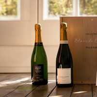 Champagne Henri Giraud - Hommage à François Hémart - Bouteille