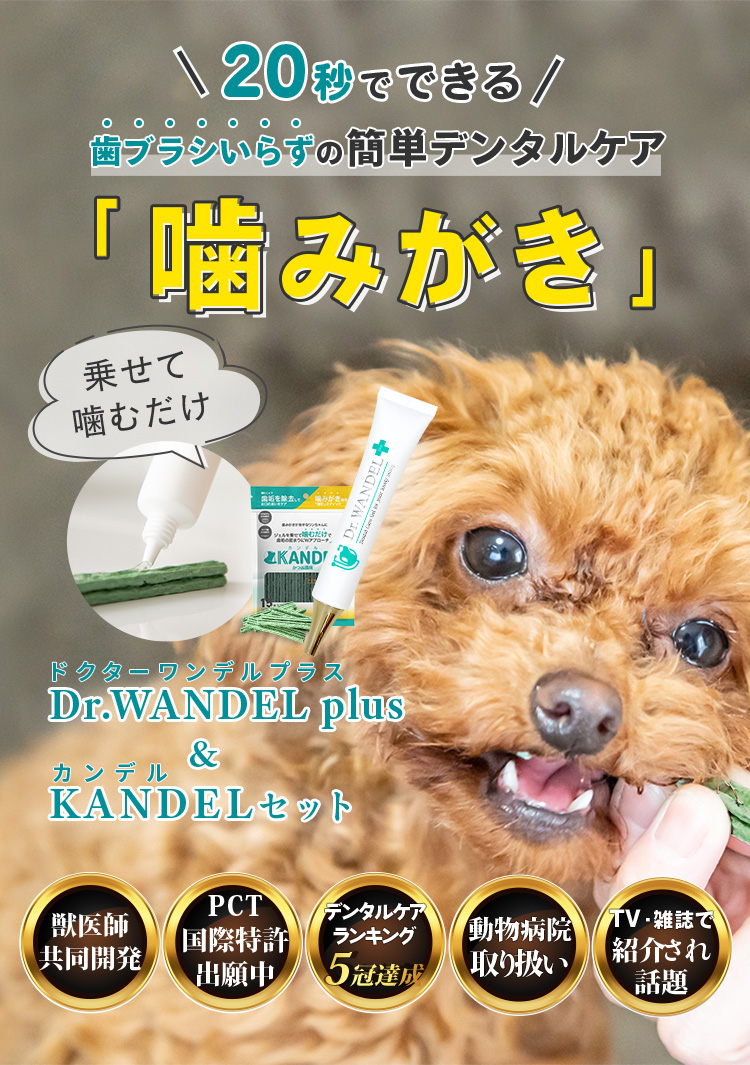 Dr.WANDEL（ドクターワンデル）plus＋KANDEL（カンデル）セット