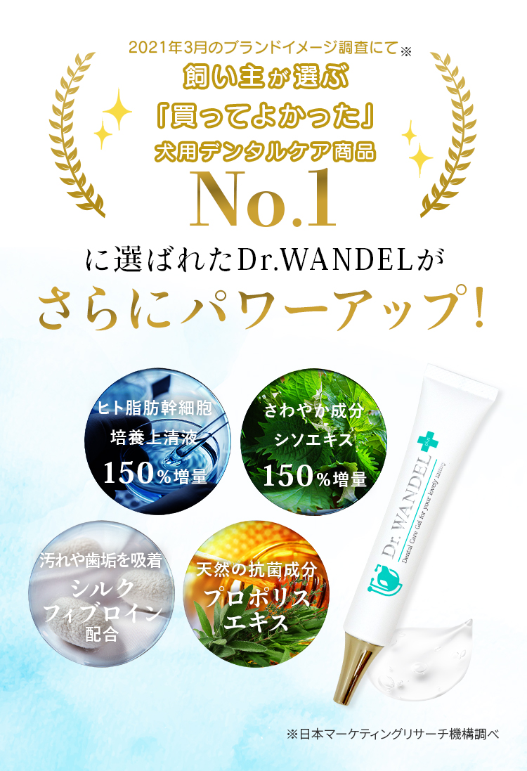 Dr.WANDEL（ドクターワンデル）plus＋KANDEL（カンデル）セット