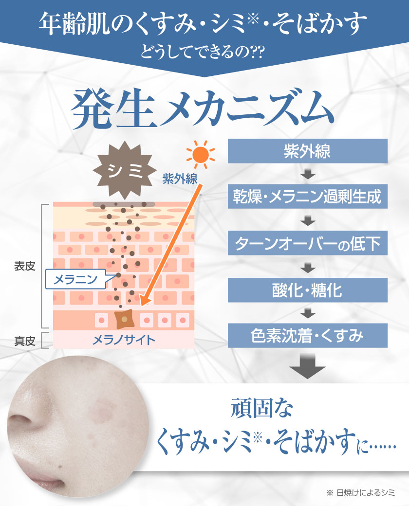 キャロリーヌ化粧品 | オンラインショップ