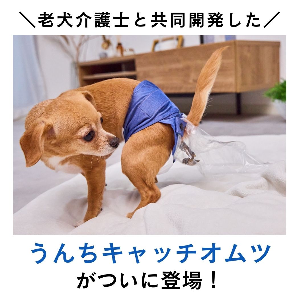 商品詳細｜FrienDoggy（フレンドギー）公式オンラインストア