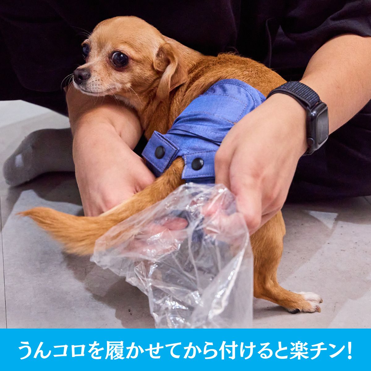 商品詳細｜FrienDoggy（フレンドギー）公式オンラインストア