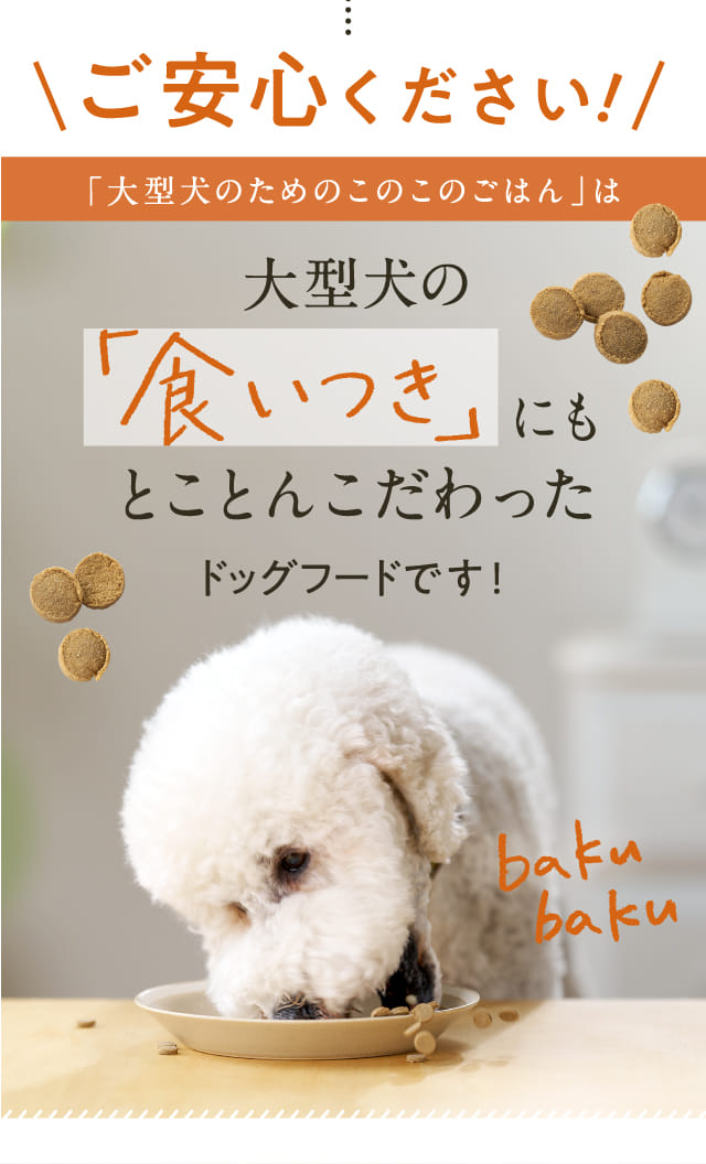 大型犬のためのこのこのごはん｜コノコトトモニ