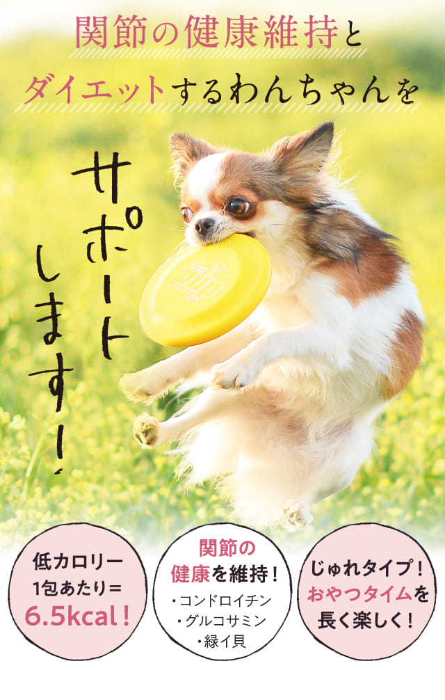 このこのおやつじゅれ｜コノコトトモニ