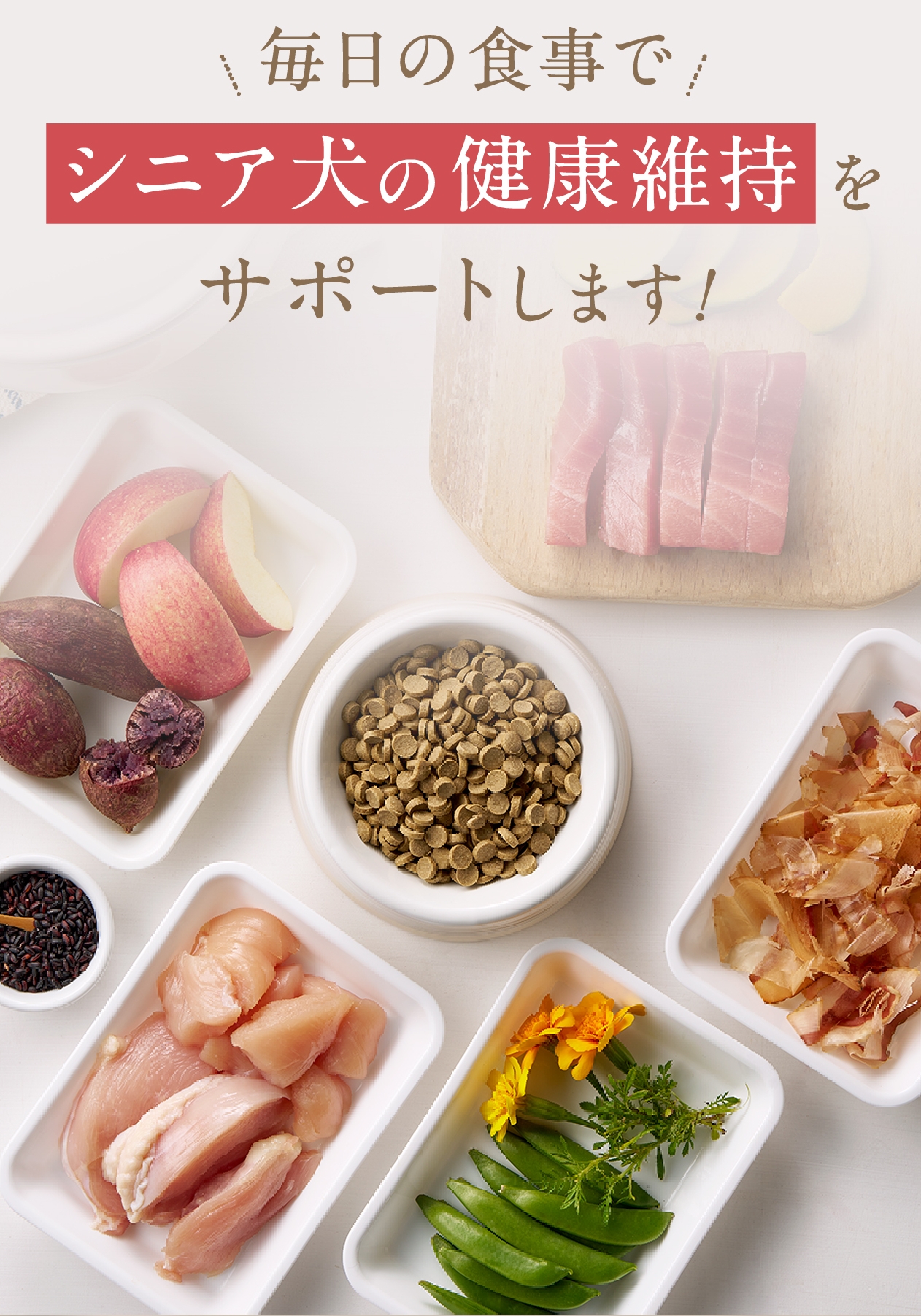 公式】シニアのためのこのこのごはん