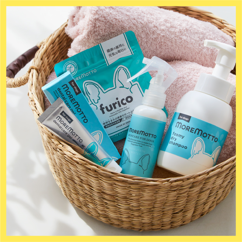 MOREMOTTO（モアモット）