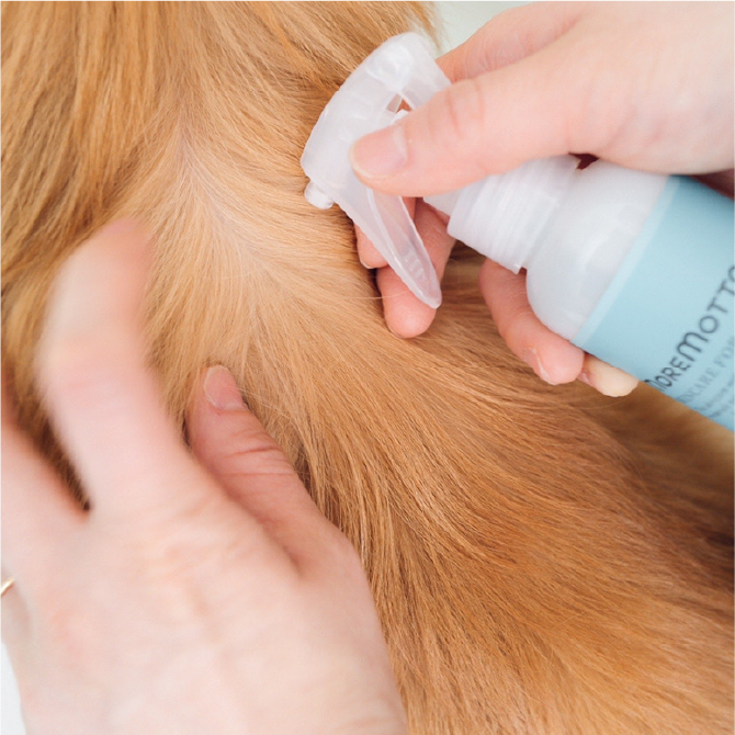 フムスキンウォーター｜MOREMOTTO