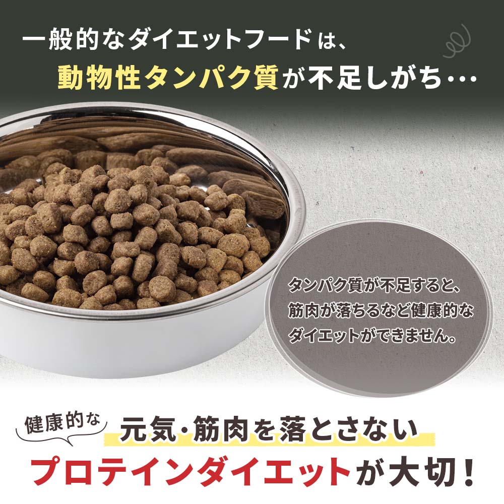 鹿肉ライト｜ペットスタンス ドッグスタンス キャットスタンス｜安心の