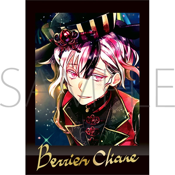 あくねこ ベリアン ぱしゃこれ 箔押し - メルカリ ベリアン ぱしゃこれ