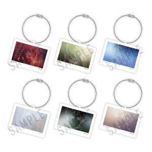 進撃の巨人 エレン Birthday gift 2022 マットクリアファイル2枚セット