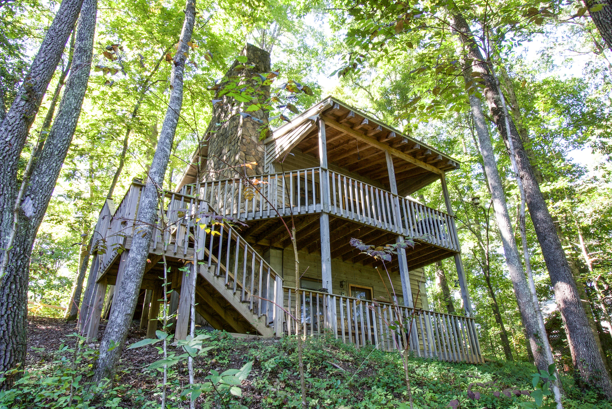 Paradise Hills Winery Resort and Spa in Saint Simon, GA - Magic Raven