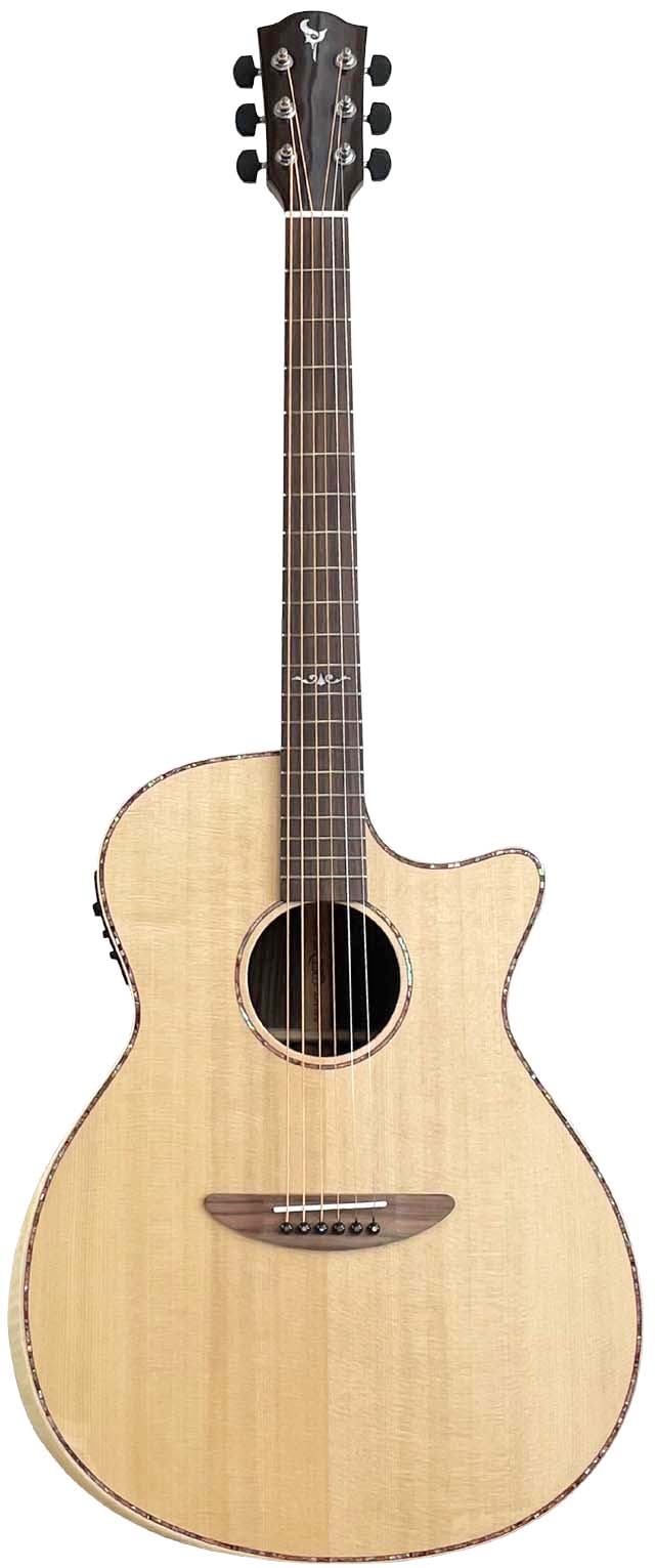 DCT GR-742CE エレアコ （管理カキ） G-311CE LH AS | dct2019