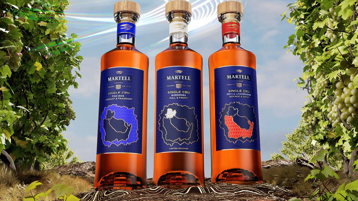 Embark on an exhilarating terroir journey with the Martell Single Cru