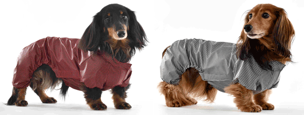 商品詳細 - 銀座DAXDACHS