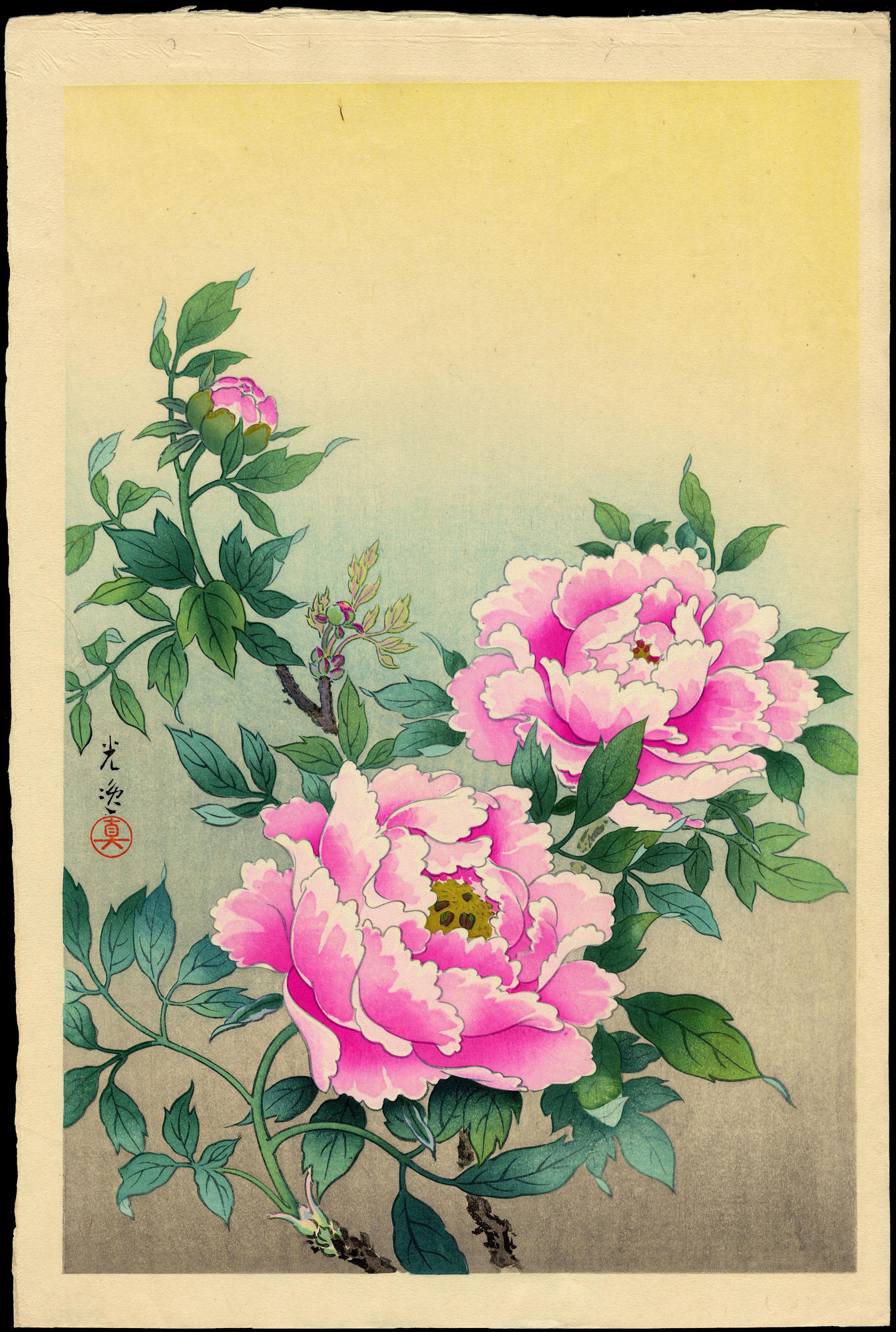 真作】絵画 日本画の美 華麗なる牡丹図 気品あふれる牡丹の彩り V146