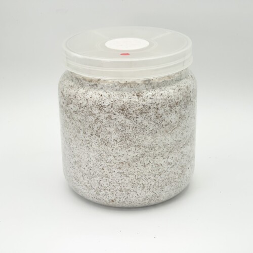 G-ZERO ブロック | D.D.A ism