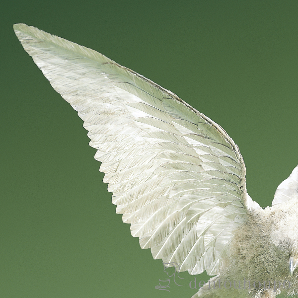 送料無料】 銀製 白鷹 F 50g / 光則（銀工芸） 高級 コレクション 美術