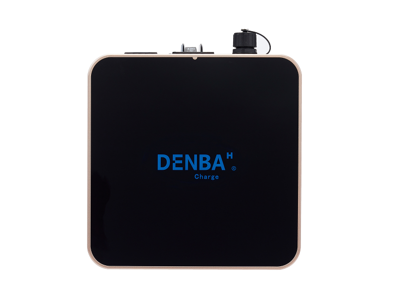 専用】DENBA Health ZX DENBA HEALTH Charge 商品一覧 | DENBA HEALTH
